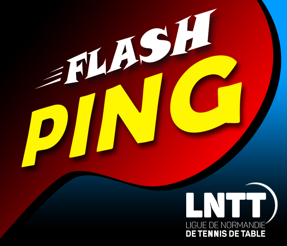 Logo Flash Ping