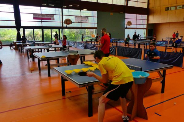 p10000993BA477EF-5BBF-1649-33F4-C770ECE69D35.jpg